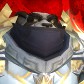 Pandaren