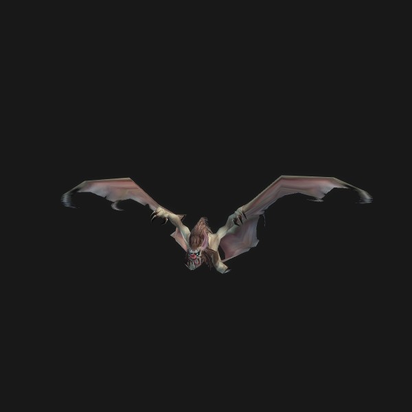Zul'Drak Bat