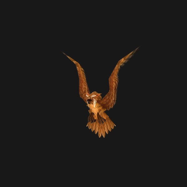 Warhawk