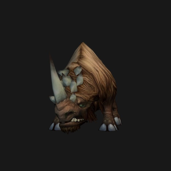 Wooly Rhino Calf