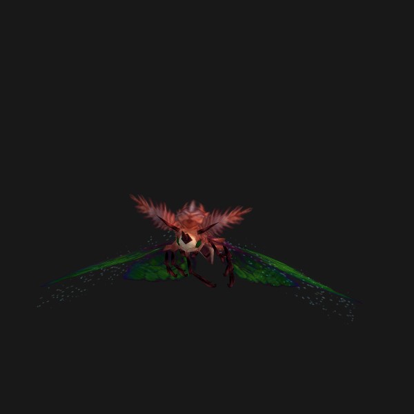 Young Moth