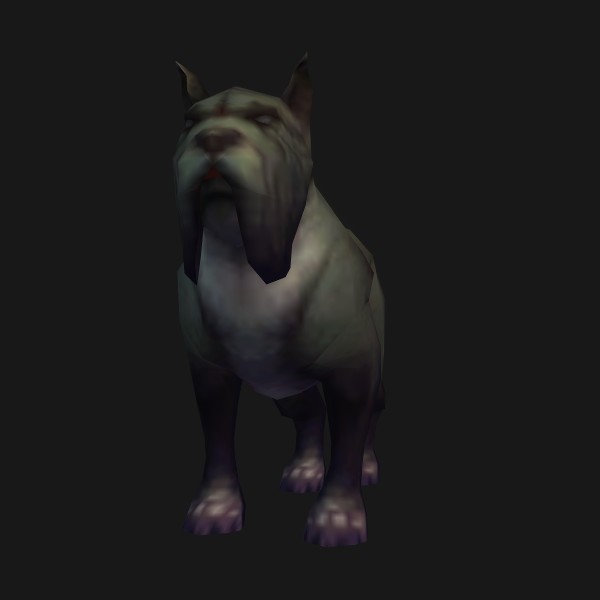 Young Mastiff