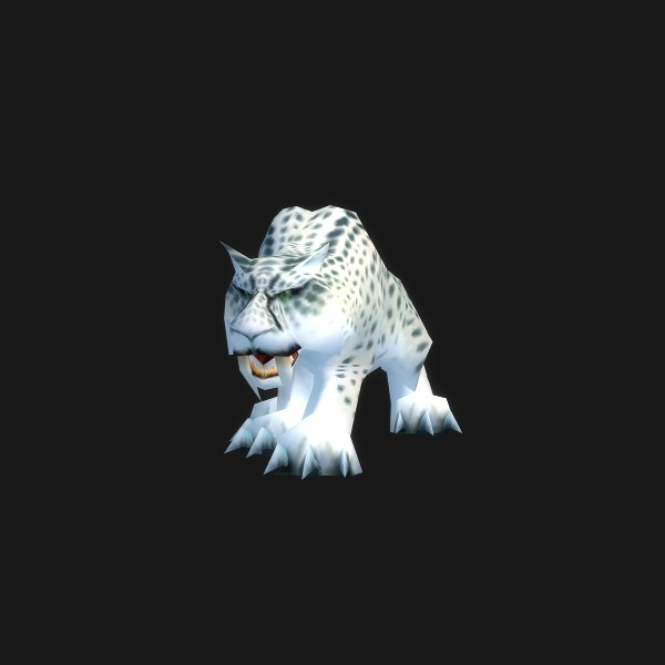Young Snow Leopard