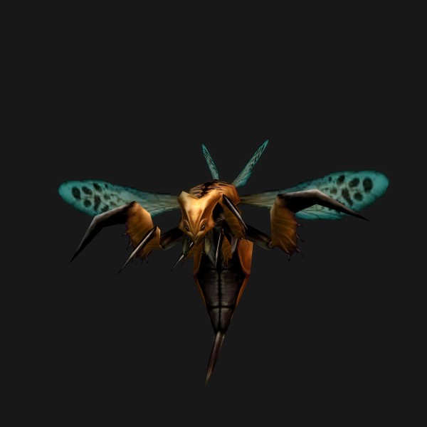 Zora