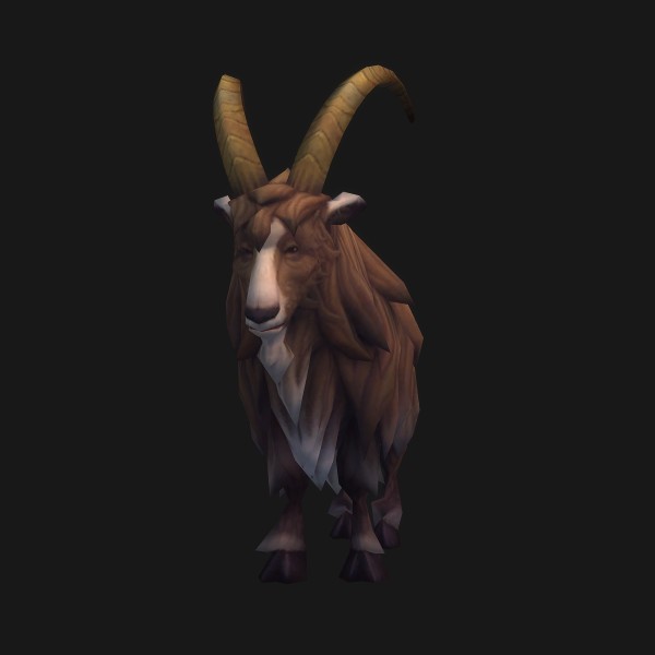 Wild Shaghorn