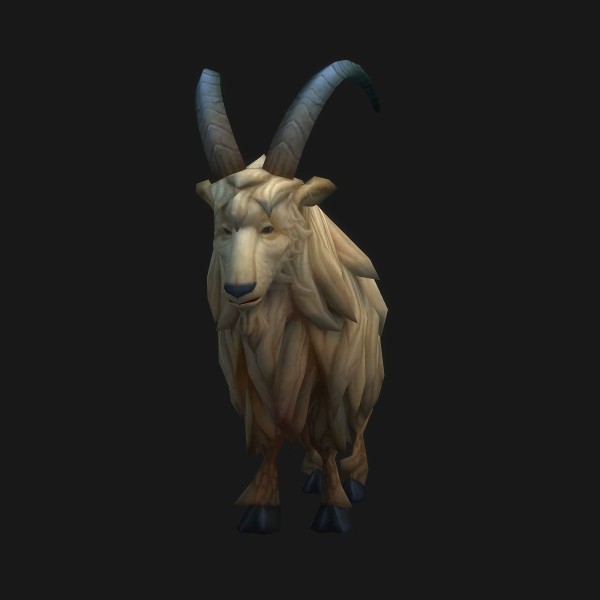 Wild Mountain Goat