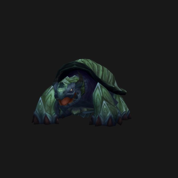 Wise Turtle