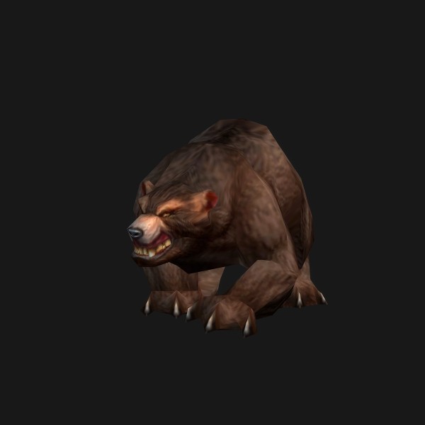 Young Bear