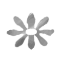 alliance