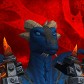Budgetysera