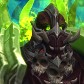 Darkschinder