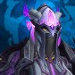 Phaeora