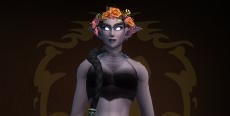Drasn's icon
