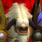 ßambo portrait