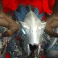 Knzrogue