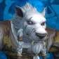 Donky avatar