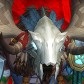 Wyndle avatar
