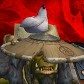 Sïrrowp avatar