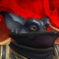 Rengardunord