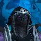 Thayrén avatar