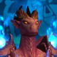 Dragonkitten