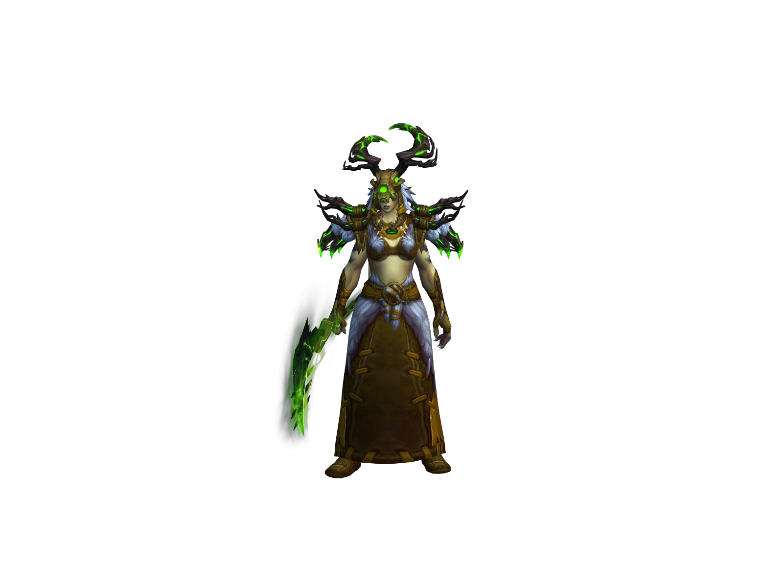 Procyon