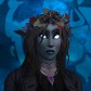 Shaeleria portrait