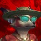 Thatsonwhat avatar
