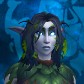 Nelruid