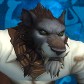 Tallorr avatar