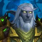 Nelfdruid