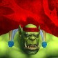 Birðs avatar