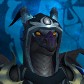 Hallis avatar