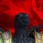 Noleydrache