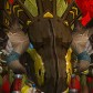 Quinrawr