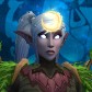 Janidruid