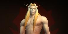 Welat's icon
