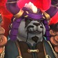 Branj