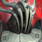 Hexkroon avatar
