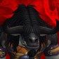 Thundergus profile icon