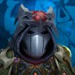 Rokil