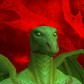 Greenbaby