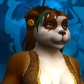 Brumepatte avatar
