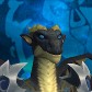 Pleurir