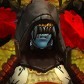 Guccicat avatar