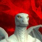 Chaosnoodle avatar