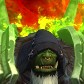 Coorelock
