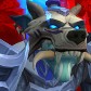 Bradypus