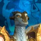 Geckoli