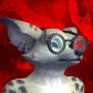 Jakewright avatar